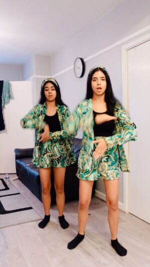 Ishveen Gulati Instagram - Ek Vaari💚 #teamvleenam #mirrortwins #twins #twin ✨