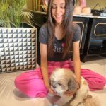Kanikka Kapur Instagram - Small life update - I haven’t been very well since the past few days and the one who’s never left my side since I got back home is this guy. He is the epitome of unconditional love, compassion and warmth. I’m so grateful for Koko. His love heals. My baby turns 7 today ❤️ Cake by @puppychinodelhi Cupcakes by @thecaninecompany.in