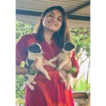 Karunya Ram Instagram - Save street dogs Tis Pic is evrything to me 🩷❤️🧿🫶🏼🥰😍 : : #karunyaram #milkybeautykarunyaram #petlover #streetdog