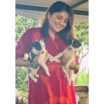 Karunya Ram Instagram - Save street dogs Tis Pic is evrything to me 🩷❤️🧿🫶🏼🥰😍 : : #karunyaram #milkybeautykarunyaram #petlover #streetdog
