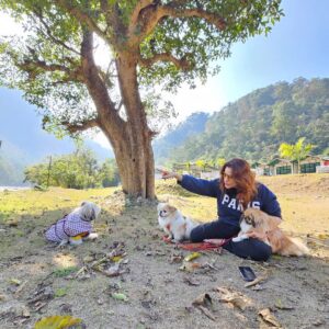 Kashish Singh Instagram - Noddy I love you... we all love you! Realising your dream was our dream! You will always be with us, no matter what... We will always love you, no matter what ❤️missing you noddy 🥰🥰 #dogsofinstagram #dogs #pets #lovemybabies #bellavitakashish @noddyparisboboyecharliesingh_