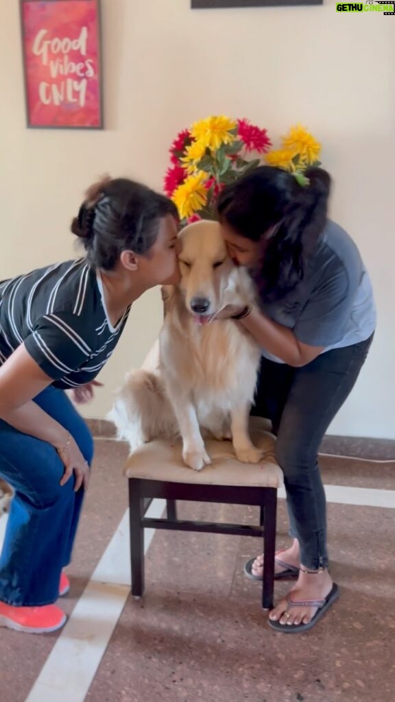 Lipi Mohapatra Instagram - Kisses Overloaded 😍🥰 #kiss #goldenretrievers #love #loveislove🌈 #retriever #retrieveroftheday #golden #furryfriends #pet #petlove #trending #trendingreels #animals #animalsofinstagram #viral #viralvideos #liketkit Gurugram