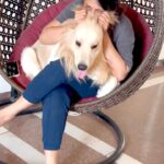 Lipi Mohapatra Instagram - My best friend has four paws 🐾🐾 #bestfriend #goldenretrievers #retriever #retrieveroftheday #love #loveyou #pet #petlove #animallovers #lovedogs #trending #trendingsongs #viralvideos #like #instalike #furry @mesmerizing_barfi @lipi_mohapatra Gurugram