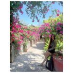 Loveleen Kaur Sasan Instagram - A grateful heart is a magnet for miracles✨🌺 Taj Fisherman's Cove Resort & Spa, Chennai