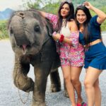 Madhumitha H Instagram - So here it comes! I agreed to the whole trip for this kutty @madhumitha.h_official. She is a beach gurl and i am a mountain wala 😉 and i lov animals. So i had an agreement with her to show me elephant 😝 but she failed it by mistake and i went mad 😠. So later today she tried harder and harder and took me there somehow but we ran out of cash, she pleaded, managed somehow within the money and i was flaunting ♥️♥️♥️ i even got mad that she didn’t click my pics properly so she asked for retake and clicked me again ♥️♥️♥️ em sorry babieeee and ilovuuu the most♥️♥️ never leaving ur side 🤣 cheers to many of my useless fights kuttieeeee🧿🧿🧿 always with u my pysch Aonang Elephant Sanctuary