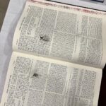 Madhura Naik Instagram - We remember this massacre 26/11/2008 and now 7/10/2023 The verse in the Torah that was shot in the terrorist fire up in Mumbai synagogue reads: Leviticus 16:1 And the Lord spoke unto Moses, after the death of the two sons of Aaron. That is, either immediately after their death, and so this chapter would have stood in its natural order next to the tenth; or else after the above laws concerning uncleanness on various accounts were delivered out, designed to prevent the people entering into the tabernacle defiled, whereby they would have incurred the penalty of death; wherefore, as Aben Ezra observes, after the Lord had given cautions to the Israelites, that they might not die, he bid Moses to caution Aaron also, that he might not die as his sons died; these were Nadab and Abihu: when they offered before the Lord, and died; offered strange fire, and died by flaming fire, as the Targum of Jonathan; or fire sent down from heaven, as Gersom, by lightning; see ( Leviticus 10:1 Leviticus 10:2 ) And now, yet again, Israel is under attack, and this needs to stop. Am Yisrael Chai 🇮🇱🇮🇳🙏❤️‍🩹 Nariman House