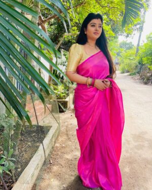 Mahalakshmi Shankar Instagram - I might have to wait, but never give up.

Beautiful Banarasi Tissue Saree From @diva_collections_1