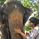 Malavika Jayaram Instagram - Help me break through all obstacles, O' great protector! #ganeshchaturthi #ganapatibappamorya