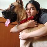 Malavika Jayaram Instagram - Last year our boy BENJI passed away, it was a difficult time for all of us. This little fighter walked into our lives and filled that void. Debuting BUNTY - who just turned one. On that note, keeping our furry friends in mind have a safe and prosperous Diwali. #diwali2020 #stayhome #nocrackersdiwali Chennai, India