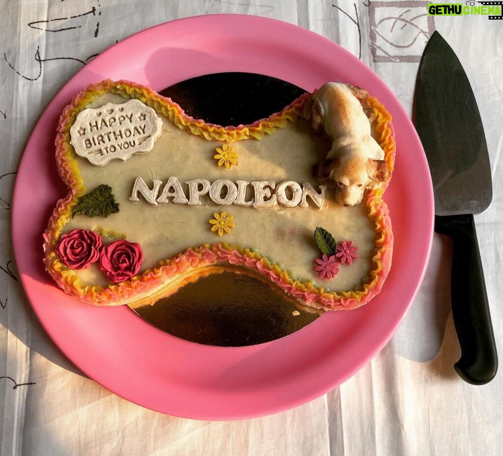 Manava Naik Instagram - Birthday cake... I turned one on 8th May 2023