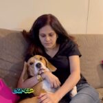 Manava Naik Instagram - This also can be a reaction to the #match #indiavsaustralia #worldcup #beagle #pets #cricket #homevideo #beagles