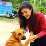 Mishti Instagram - Life is where love is.... #straydog #adoptdontshop #dogsofinstagram #dogs #dog #straydogs #dogstagram #streetdogs #streetdog #doglover #puppy #doglovers #love #dogoftheday #instagram #instadog #doglife #dogsofinsta #puppiesofinstagram #puppylove #streetdogsofindia #straydogsofinstagram #dogsofindia #cutiepie