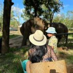 Natasa Stankovic Instagram - 🐘 ❤️ Phuket