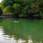 Nidhi Bhanushali Instagram - More often than not a cold swim is all you need. SACRED RIVER
