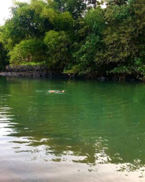 Nidhi Bhanushali Instagram - More often than not a cold swim is all you need.
