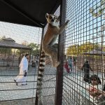 Nisha Guragain Instagram - When you live in the moment, you won't miss a thing…..😊 The Zoo Wild Life Park