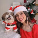 Nitanshi Goel Instagram – Ho! Ho! Ho! 
My lil cute Santa @queenienakhrewaali is on her way🤶♥️ Ask for a gift in the Comments 🎁✨
..
#MerryChristmas #christmaswishes #nitanshigoel #queenie #nitanshians Christmas at Home