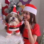 Nitanshi Goel Instagram – Ho! Ho! Ho! 
My lil cute Santa @queenienakhrewaali is on her way🤶♥️ Ask for a gift in the Comments 🎁✨
..
#MerryChristmas #christmaswishes #nitanshigoel #queenie #nitanshians Christmas at Home