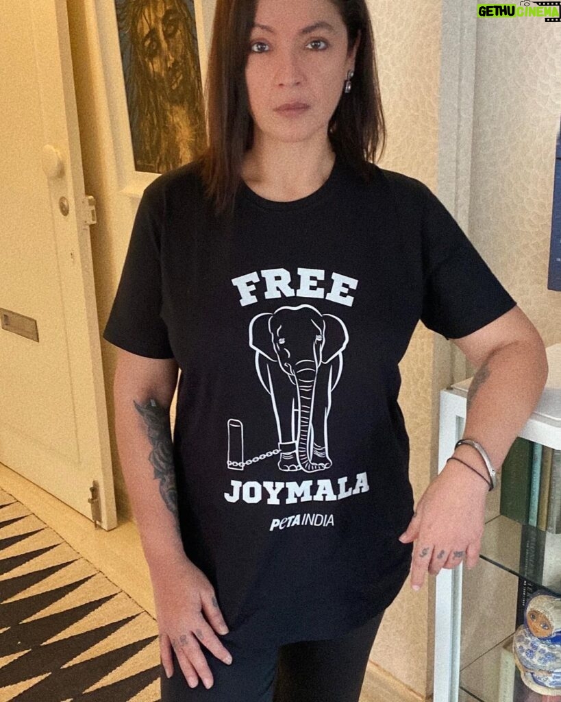 Pooja Bhatt Instagram - Have a greater appreciation for freedom post my stint in the #BiggBosOTT2 house. Implore the powers that be to please come together & use their collective might to FREE Joymala. 🙏 @petaindia @mkstalin @hemantbiswasarma @bhupenderyadavofficial @kramachandranmla #🙏 #freejoymala #elephantsshouldbefree #notourstoabuse #🐘❤️