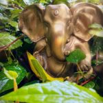 Pooja Bhatt Instagram - May Lord Ganesha bring us strength, courage and much needed wisdom to face life's challenges & overcome the obstacles we encounter with grace. 🙏 #ganeshchaturthi #lordganesha #🙏 #jaiganesha #jaimaharashtra