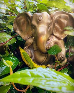 Pooja Bhatt Instagram - May Lord Ganesha bring us strength, courage and much needed wisdom to face life's challenges & overcome the obstacles we encounter with grace. 🙏 
#ganeshchaturthi #lordganesha  #🙏 #jaiganesha #jaimaharashtra