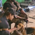 Pooja Ramachandran Instagram - With the cute and adorable ‘Hector’ one of our lead actors. Watch THE VILLAGE streaming now only on @primevideoin #thevillageonprime #thevillageonprimevideo #webseries #bingewatch