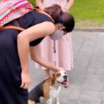 Pranika Dhakshu Instagram - BRUNO…!!! 🐶🍃 #pranikadhakshu #zara #doglove #doglover