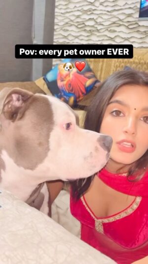 Priyanshi Yadav Instagram - Isnt it? Let me know in the comments! 🐶🥰 
 

#reels #instagram #trending #wow