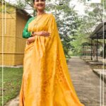 Rachna Banerjee Instagram - The adorable tanchoi benarasi sarees are gorgeous and traditional and made purely of silk. For every Puja or occasion, this is the best fit with the thread borders and the jacquard weaves 🟢History : The Tanchoi brothers from Gujarat introduced the art to the Indian weavers in Surat (Gujarat), and later the Varanasi weavers also started weaving these Sarees, in less expensive versions. 🙌🏻Care: Dry wash 📲𝐖𝐡𝐚𝐭𝐬𝐚𝐩𝐩 𝐨𝐧 𝟗𝟖𝟑𝟏𝟎𝟑𝟓𝟔𝟔𝟕 𝐭𝐨 𝐨𝐫𝐝𝐞𝐫 #RachnaBanerjee #Fashion #Saree #IndianAttire #EthnicWear #Traditional #Fashionista #Style #StayStylish #StayFashionable #StyleStatement #OrderNow #OnlineShopping #fashion #potd #ootd #ootdfashion #likeforlikes #facebookpost #instagram #tanchoi #silk #benarasi