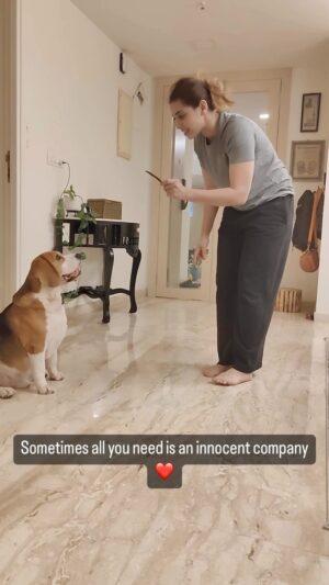 Sehrish Ali Instagram - @hipiofficialapp 
❤️❤️❤️

#dogs #dogsofinstagram #dog #dogstagram #puppy #doglover #dogoftheday #instadog #doglovers #doglife #pets #love #puppylove #puppies #pet #puppiesofinstagram #dogsofinsta #cute #instagram #of #petsofinstagram #dogslife #doggo #animals #ilovemydog #cats #doglove #petstagram #dogphotography #cutedogs