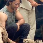 Shaheer Sheikh Instagram - #love