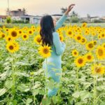 Shobanaa Uthaman Instagram - Sometimes you have to get lost before you find yourself 🌻✨ . . . . . . . . . . . #chennai#ootd#kollywood#bollywood#pose#instadaily#instagood#instacool#model#modelling#saree#saree#tamilponnu#promoter#promotion#collaboration#vijaytv#vijaytvserial#vijaytelevision#vijaytvshow#muthazhagu#wayanad Wayanad, Kerala