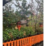 Shweta Bachchan Nanda Instagram - Kyoto when it rains ~ it wasn't the perfect day to visit, it wasn't the right time either, we just caught the fag end of cherry blossom season. My shoes were soaked through and I am not a fan of the rain, but the Japanese have a term " kintsugi " a metaphor for embracing flaws and imperfections. So in that spirit we set forth and actually had a wonderful time! I feel if I am to ever learn patience it will be here where the people are so mindful taking time to enjoy the smallest things. Our guide insisted we visit the Starbucks built inside an ancient home, the old street was charming and so clean but most importantly no one was in a hurry, but me, I was dying to write this all down before I forget. 🌸