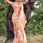Sofia Ansari Instagram - Which saree 🥻 look you like the most ??? let me know in comment box ⬇️