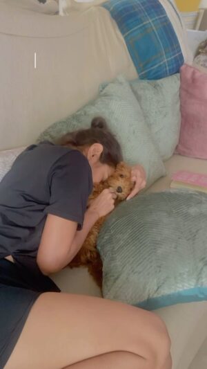 Sonyaa Ayodhya Instagram - Dogs > humans 😊 #reels #love #poodle #mychild #myson #mybaby #pets #life #happiness #dogs #reelsinstagram
