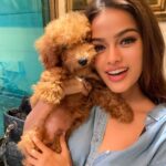 Sonyaa Ayodhya Instagram - Big Dog Energy 🤣 🐶 @sonyakabetacharles #BDE #love #dogs #happiness #dogmum