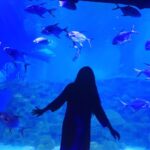 Sree Nithi Instagram - Find the beauty in everything you do🐟 Chennai, India