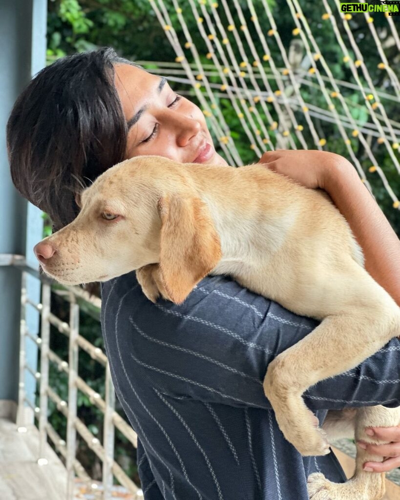 Sree Nithi Instagram - Always an Animal lover #zoophilist 🫶🏻 (with Bella🐶) Pc : @varshas___makeover 🫶🏻 Thiruvananthapuram, Kerala, India