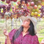 Sree Nithi Instagram – Vineyard !! 🍇🍇 Theni