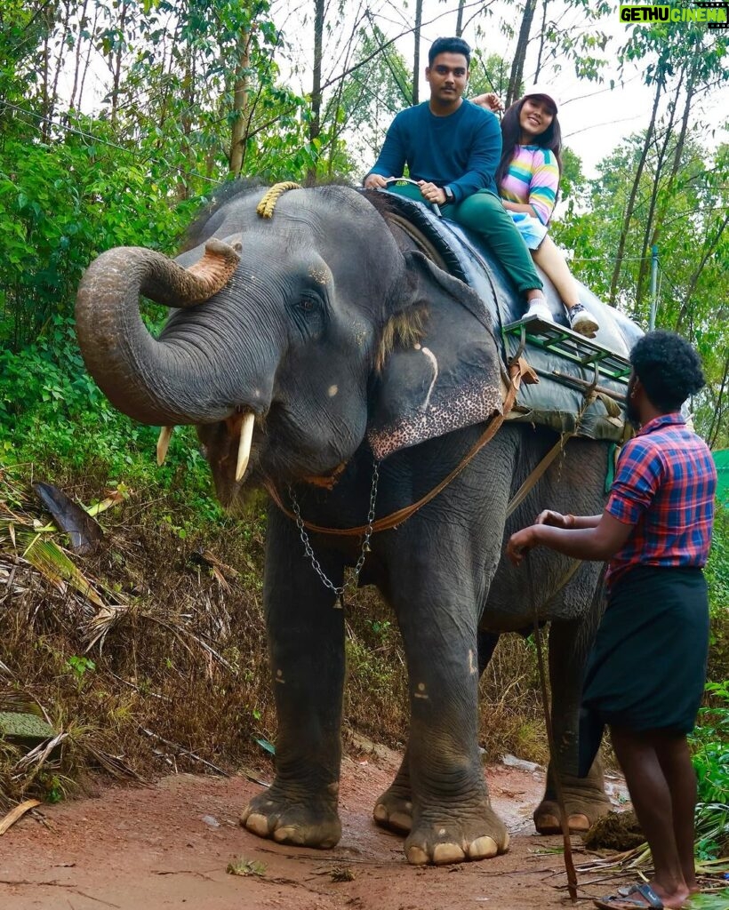 Sree Nithi Instagram - 🐘🫶🏻 Munnar, Kerala, India.