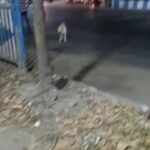Swastika Mukherjee Instagram - Via @hoomansofcalcutta Any leads would be appreciated. Kindly circulate & amplify. @pfa.official @hopeindia.ct @dogtales.in @dogsofkolkata @funandfur please see if you can help.