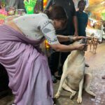 Swastika Mukherjee Instagram – Met these 2 loveliest souls while shooting at Kasba Bajaar. 
First one is BHOLA, kheye kheye motu hoye geche and is extremely loved by the people there. 
The second one is ADURI. Jotokhon chhilam gaye uthe chete ador kore gelo. 
They always have so much love to give 💕
One just needs to pat them a little bit. 
And I have done some teeth inspections as well. They are healthy and hearty. Kasba Fish Market