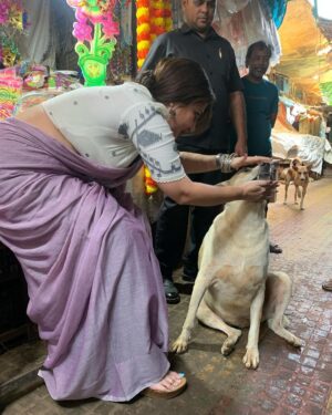 Swastika Mukherjee Instagram - Met these 2 loveliest souls while shooting at Kasba Bajaar. 
First one is BHOLA, kheye kheye motu hoye geche and is extremely loved by the people there. 
The second one is ADURI. Jotokhon chhilam gaye uthe chete ador kore gelo. 
They always have so much love to give 💕
One just needs to pat them a little bit. 
And I have done some teeth inspections as well. They are healthy and hearty.