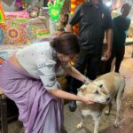 Swastika Mukherjee Instagram – Met these 2 loveliest souls while shooting at Kasba Bajaar. 
First one is BHOLA, kheye kheye motu hoye geche and is extremely loved by the people there. 
The second one is ADURI. Jotokhon chhilam gaye uthe chete ador kore gelo. 
They always have so much love to give 💕
One just needs to pat them a little bit. 
And I have done some teeth inspections as well. They are healthy and hearty. Kasba Fish Market