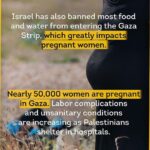 Swastika Mukherjee Instagram - Via @ajplus Life for Palestinians under constant Israeli bombardment is difficult. But imagine living through that with a disability. More than 9,000 people have been killed since the Israeli attack on Gaza began on October 7. In that time, over 1.4 million Palestinians in Gaza have been displaced. … Producer: Thelma Annan #Gaza #Israel #Palestine #Disability #GazaUnderAttack #ceasefire