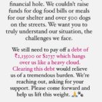 Swastika Mukherjee Instagram - Please help @love_shade_for_animals clear their Debt & Feed Hungry Tummies 🍲💔 To donate: PAYTM/GPAY/PHONEPE -6386674176 OR PAYPAL ID - loveshadeforanimals@gmail.com ( link mentioned in bio) OR ACCOUNT DETAILS Name - LOVE SHADE FOR ANIMALS FOUNDATION BANK:- HDFC BANK LTD A/C:-50200073938409 TYPE: CURRENT ACCOUNT IFSC CODE:- HDFC0004294 BRANCH:-KUNDA PRATAPGARH