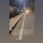 Swastika Mukherjee Instagram - Please help @love_shade_for_animals clear their Debt & Feed Hungry Tummies 🍲💔 To donate: PAYTM/GPAY/PHONEPE -6386674176 OR PAYPAL ID - loveshadeforanimals@gmail.com ( link mentioned in bio) OR ACCOUNT DETAILS Name - LOVE SHADE FOR ANIMALS FOUNDATION BANK:- HDFC BANK LTD A/C:-50200073938409 TYPE: CURRENT ACCOUNT IFSC CODE:- HDFC0004294 BRANCH:-KUNDA PRATAPGARH