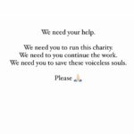 Swastika Mukherjee Instagram - Please Help us. We need you. Please help us. PAYTM/GPAY - 9868360385 Bank Account Details Name - Dulaar Amanat Foundation Account No. - 101888700000055 IFSC - YESB0001018 Your one share can literally help us a lot. Please 🙏🏻 Dwarka, Delhi