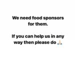 Swastika Mukherjee Instagram - Please help us with cat food. We have 25 cats under our care whom we feed daily and with ongoing activities it’s getting impossible for me to buy food and i cannot let them stay hungry. I need your help in buying dry as well as gravy food for them. You can even send the food directly to our address but please try to help us 🙏🏻 We need 30 kg of dry food (whiskas) and gravy food pouches for them 🙏🏻 Kindly come forward and help us. You can even send the food to us directly or can send any monetary help that you are ok with and you can even share this appeal so that more and more people can see and help us 🙏🏻 We need your help PAYTM/GPAY - 9868360385 Bank Account Details Name - Dulaar Amanat Foundation Account No. - 101888700000055 IFSC - YESB0001018 Delhi, India