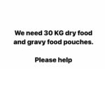 Swastika Mukherjee Instagram - Please help us with cat food. We have 25 cats under our care whom we feed daily and with ongoing activities it’s getting impossible for me to buy food and i cannot let them stay hungry. I need your help in buying dry as well as gravy food for them. You can even send the food directly to our address but please try to help us 🙏🏻 We need 30 kg of dry food (whiskas) and gravy food pouches for them 🙏🏻 Kindly come forward and help us. You can even send the food to us directly or can send any monetary help that you are ok with and you can even share this appeal so that more and more people can see and help us 🙏🏻 We need your help PAYTM/GPAY - 9868360385 Bank Account Details Name - Dulaar Amanat Foundation Account No. - 101888700000055 IFSC - YESB0001018 Delhi, India
